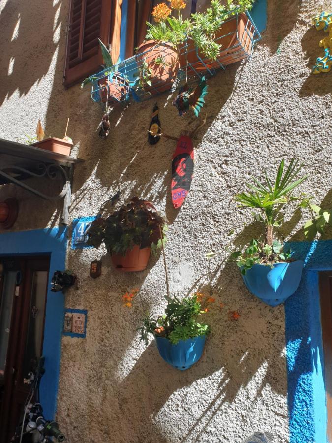 Apartment With Direct Sea View, Free Parking And Close To Beaches And Promenade Lovran Eksteriør billede